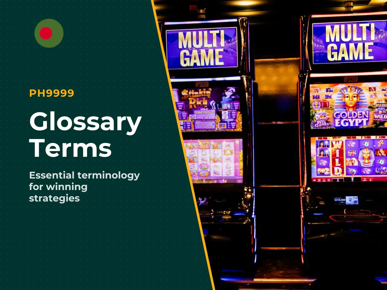 Key Terms You Need to Know