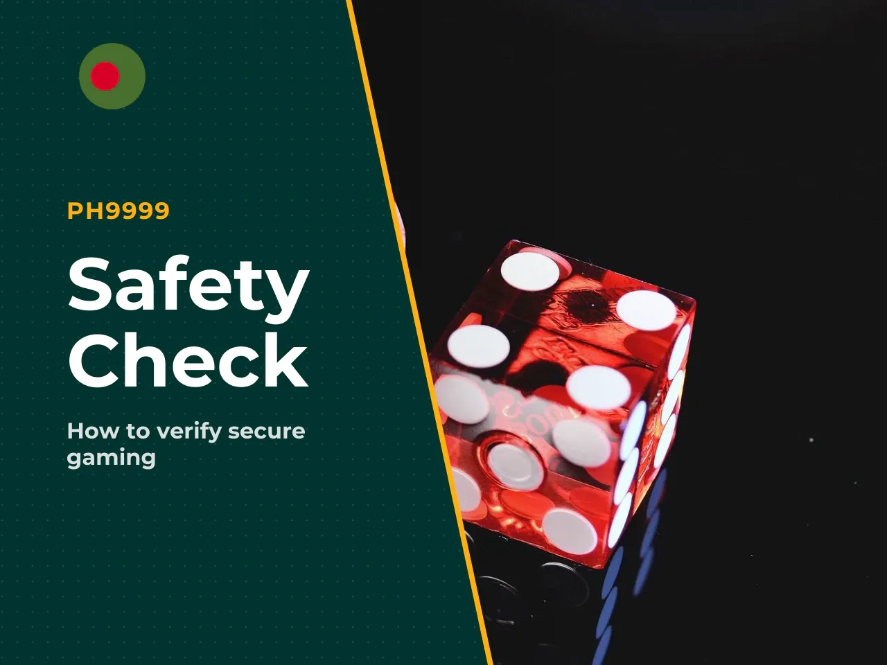 What to Check Before You Play